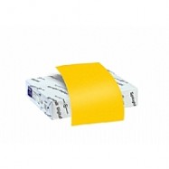 8.5×11 67lbs. Goldenrod Cardstock Paper – 2000 Sheets/case