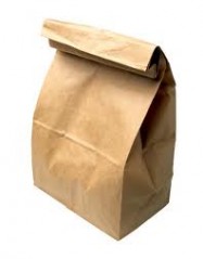 Brown Paper Lunch Bags 12/100 Case