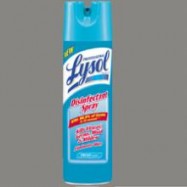Lysol Disinfectant Spray 12/12.5oz Case