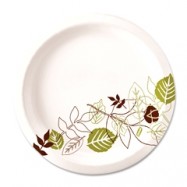 Dixie 9″ Pathway Paper Plate 500/Case