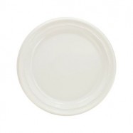 Dart 10.25″ Plastic Plates 500/Case